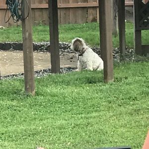 Meet your Posher, Renee